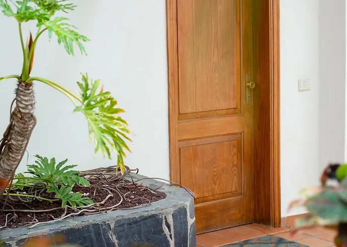 Lejlighed La Caleta Ocean Front With Sea View & Terrace