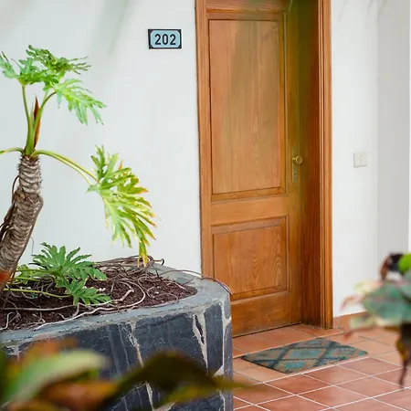 Apartment La Caleta Ocean Front With Sea View & Terrace